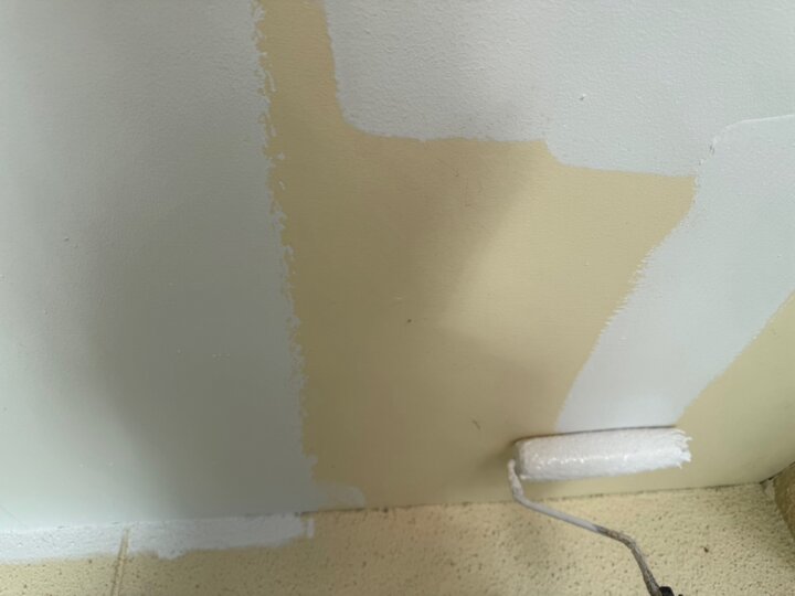 【下塗り】軒天井