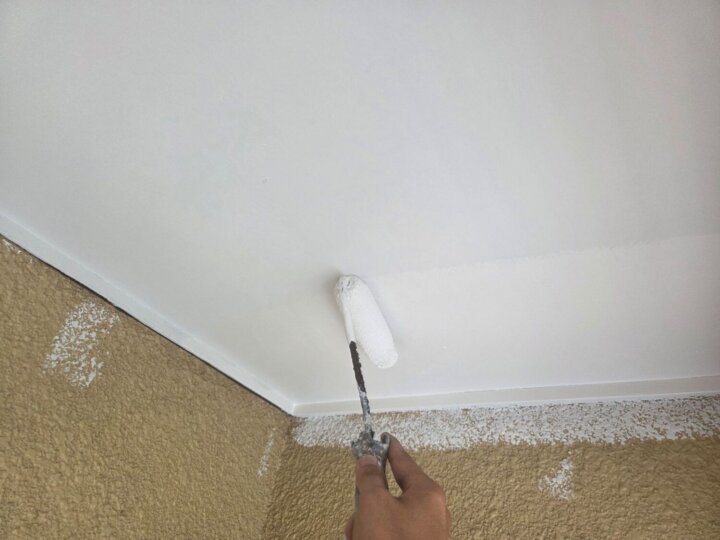 【上塗り】軒天井