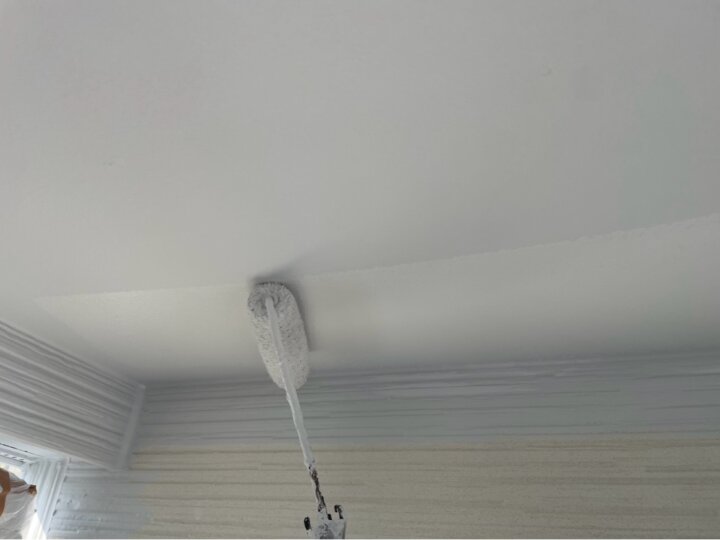 【上塗り】軒天井