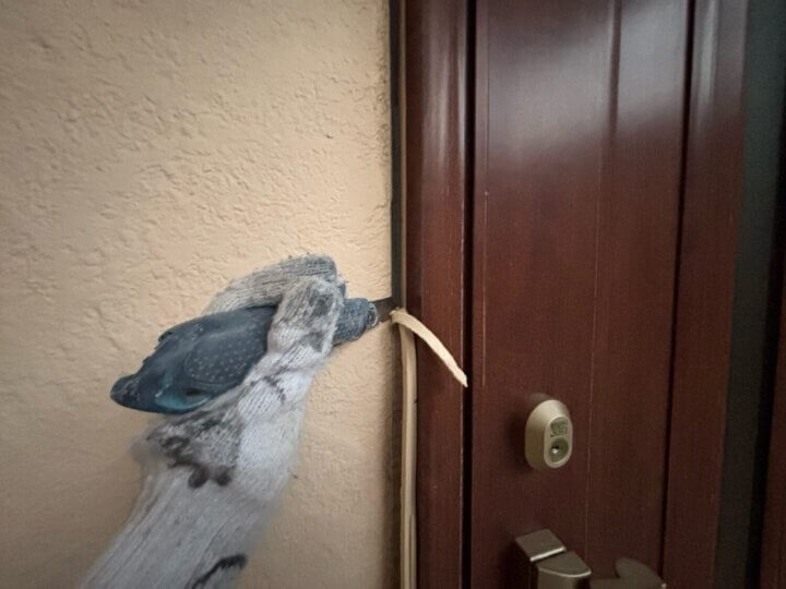 【撤去】建具廻りコーキング