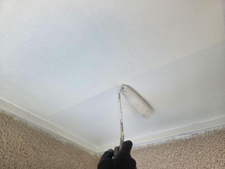 【中塗り】軒天井